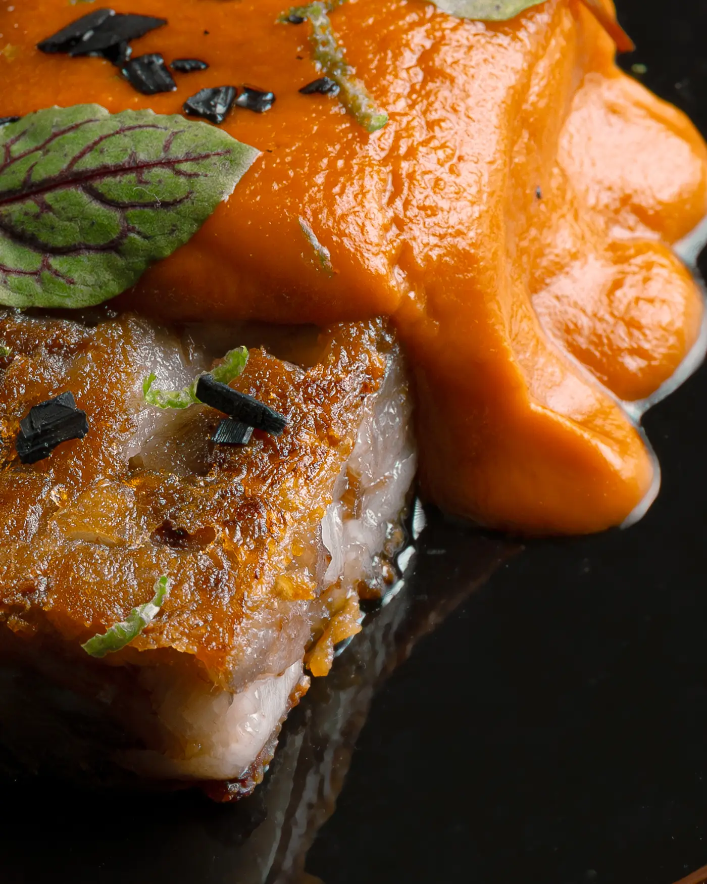 Detalle de un plato de Alinea con salsa y brotes