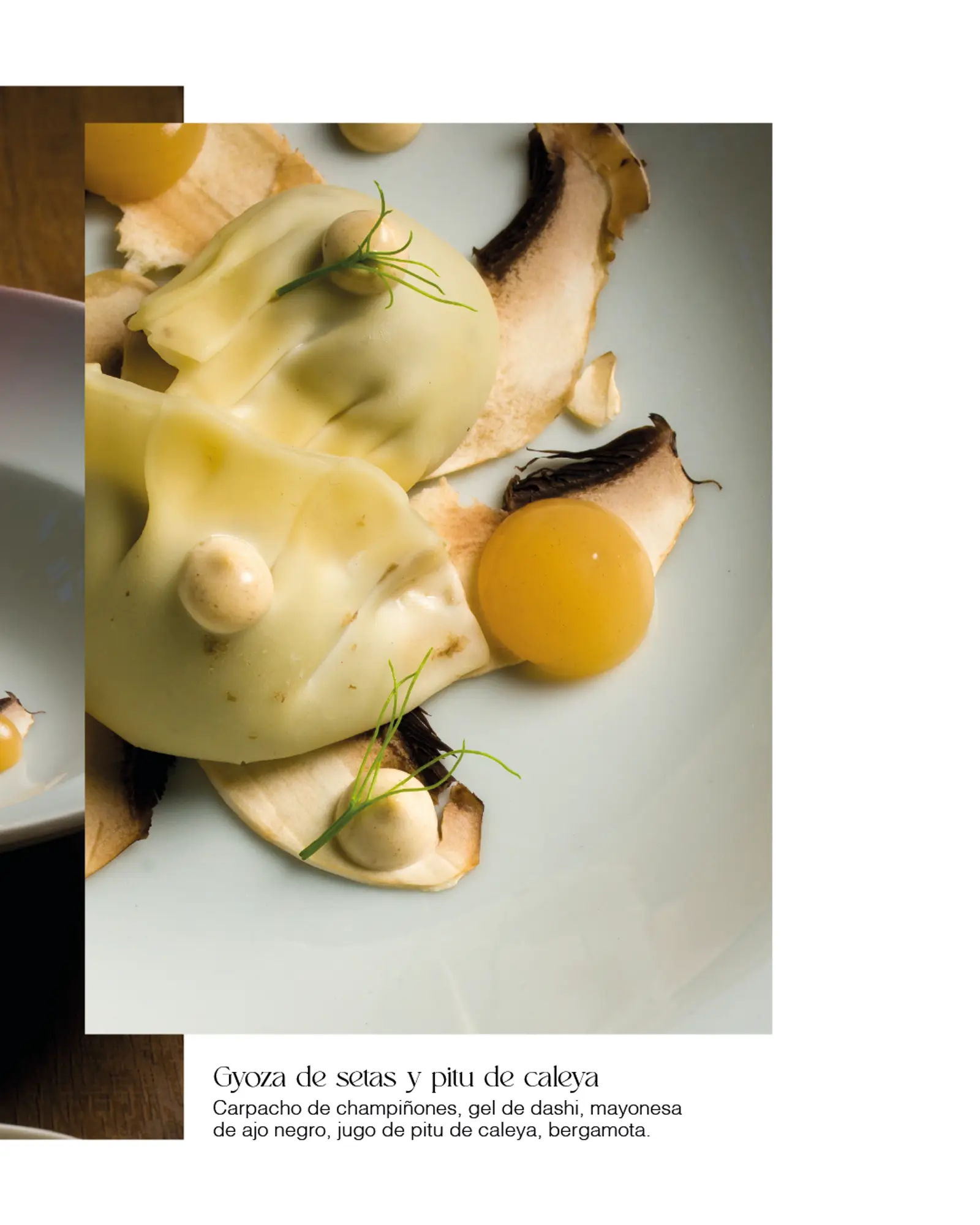 Alinea: Diseño para redes